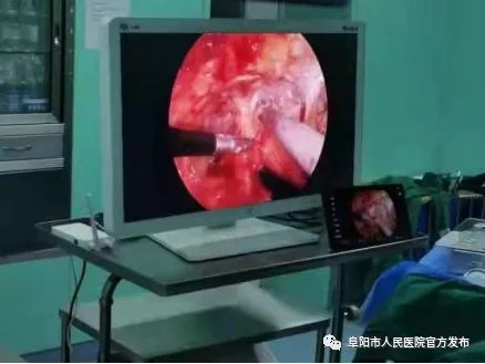 1655889455411691.jpg 640-1.jpg